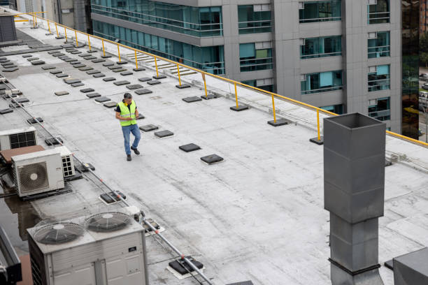 Best Green or Eco-Friendly Roofing Solutions  in Dakota City, NE