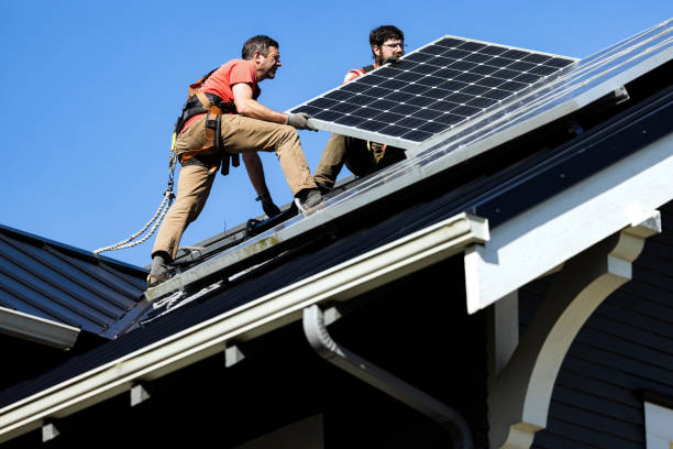 Best Asphalt Shingles Roofing  in Dakota City, NE