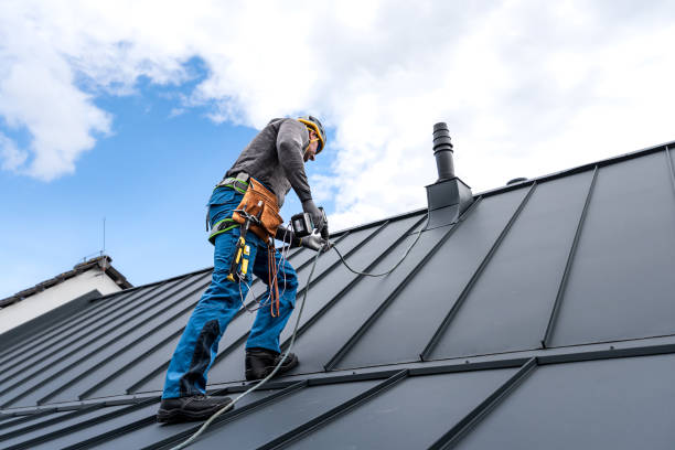 Best Chimney Flashing Repair  in Dakota City, NE