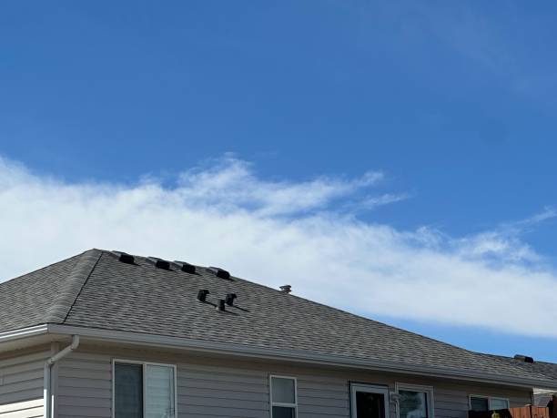 Best Emergency Roof Repair  in Dakota City, NE